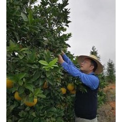 从华尔街到赣州田间地头有多远