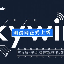 Skywire测试网——区块链上的网状网络正式上线