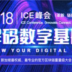 由新加坡国立大学主办，Bplus承办的2018 ICE峰会即将隆重召开