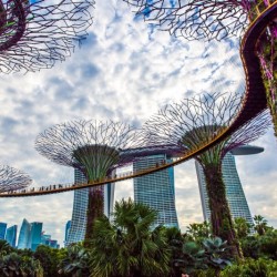 新加坡政府机构支持新的区块链加速器