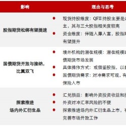 QFII、RQFII制度扩大投资范围 有关金融期货的N个猜想